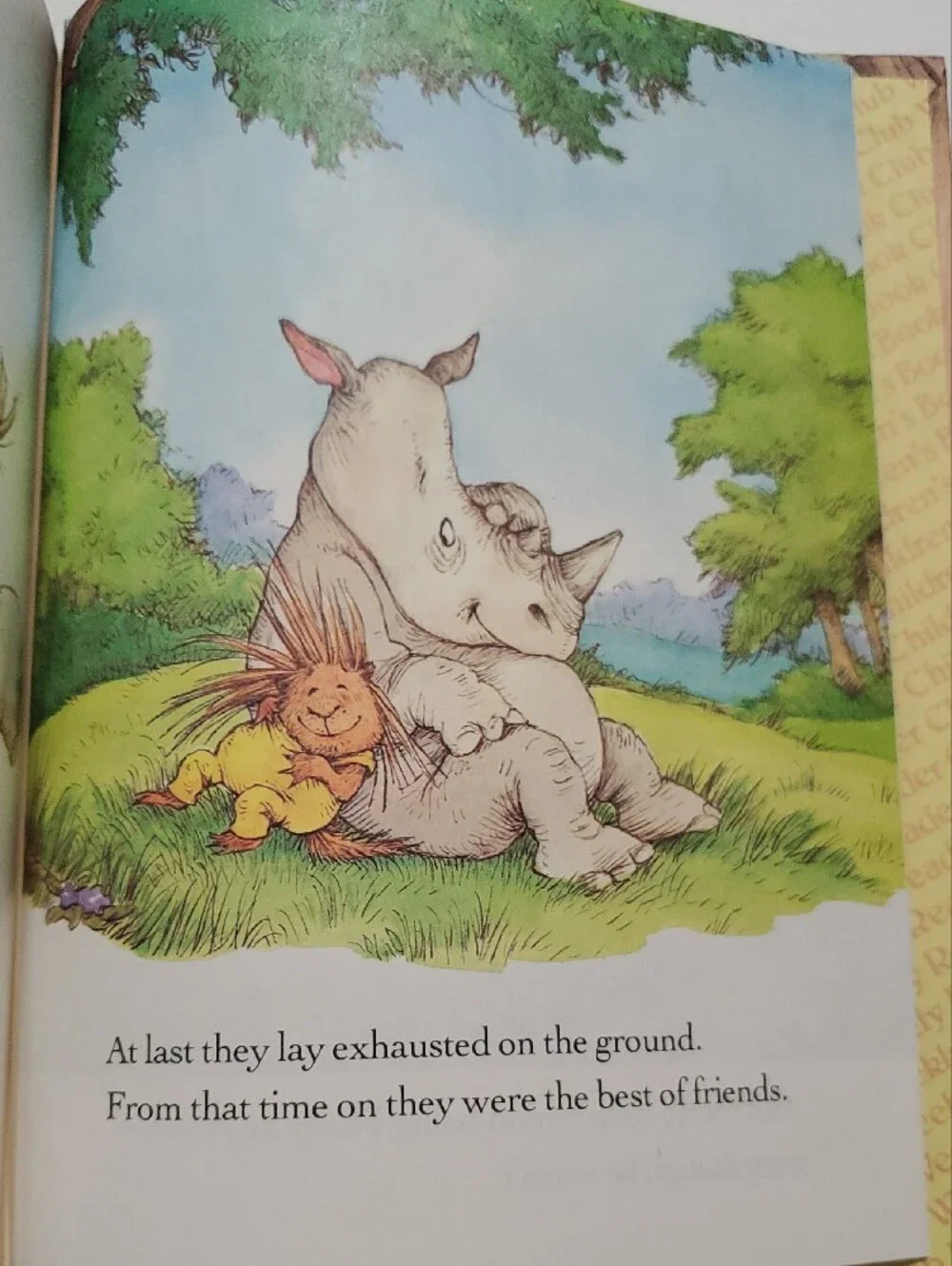 A Porcupine Named Fluffy Vintage 1986 — Illustrated Children’s Book